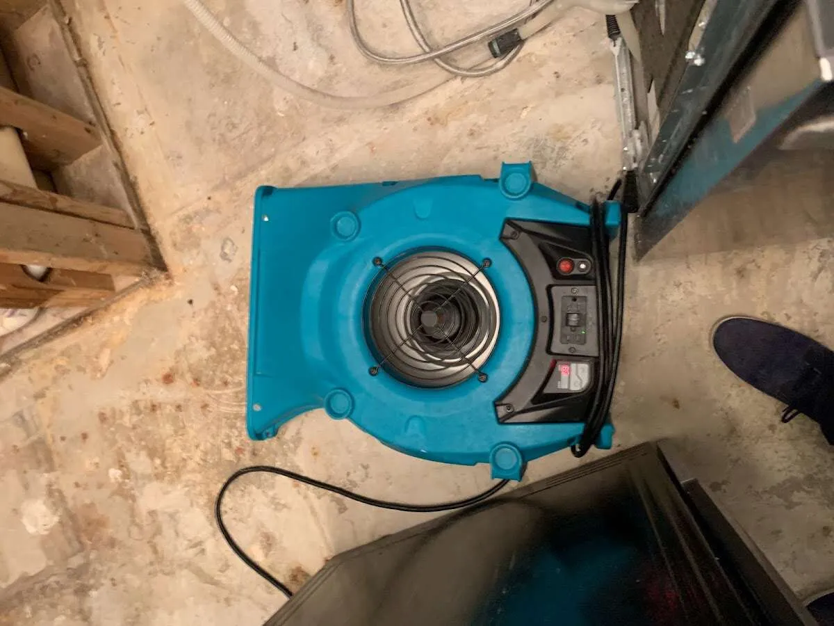 Air mover drying equipment for Mold Remediation & Removal in Benton